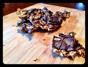 Chocolate Covered Coconut Quinoa Bars