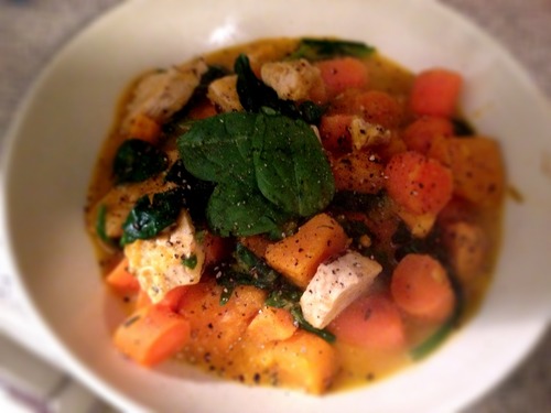 Butternut Squash Chicken Soup