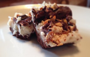 Raw Almond Joy Bars