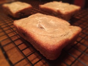 Vegan Gluten Free Chocolate Chip Banana Bread