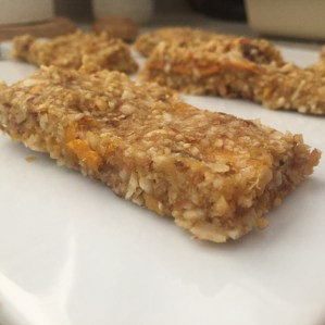 Mango CocoNUT Bars!