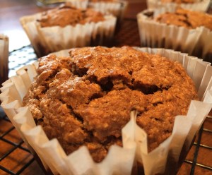 Paleo Oatmeal Raisin Muffins