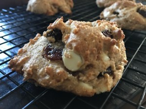 Paleo White Chocolate Cranberry Cookies
